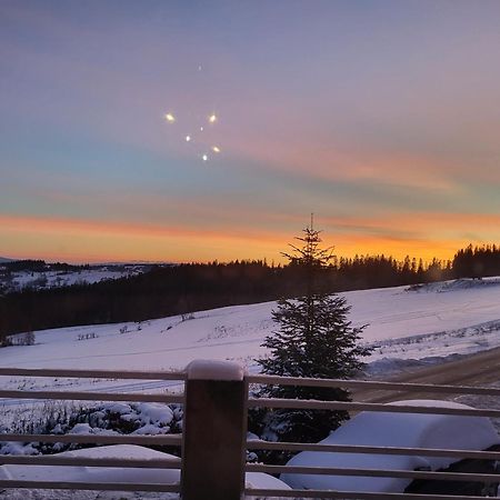 Bed and Breakfast Glamping Gliczarow Klapnioki Lesnica  Экстерьер фото